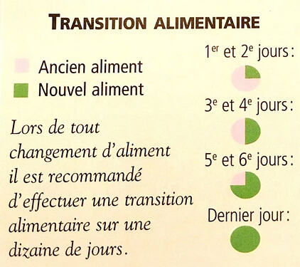DF Alimentation - transition alimentaire