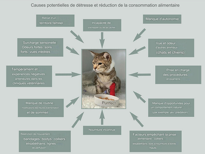 DF Autres maladies