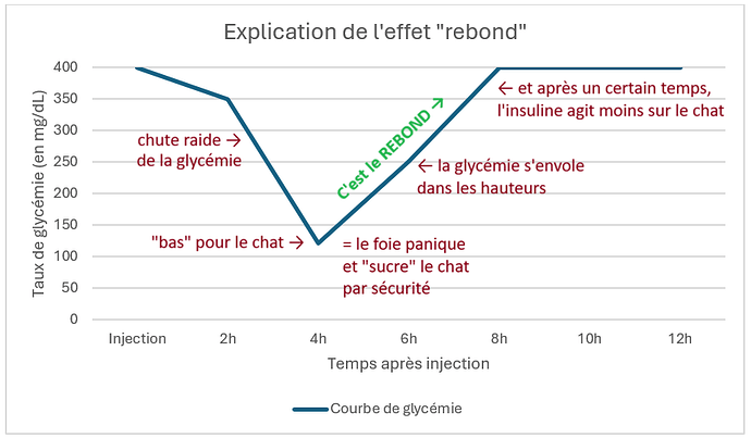explication effet rebond DF