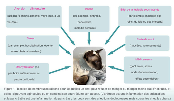 DF Autres maladies_anorexie