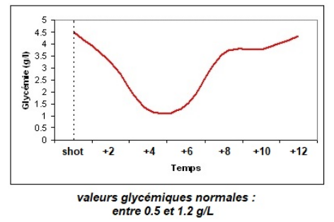 courbe glycemie caninsulin